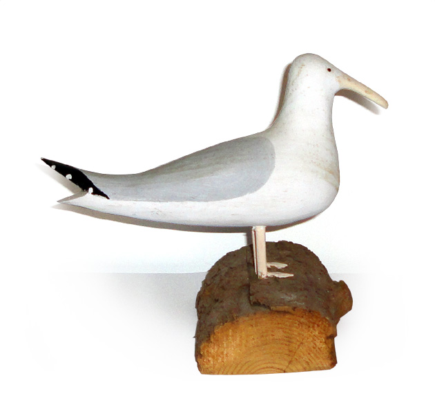 Donald Boudreau Seagull