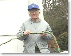 Elmer Eisnor