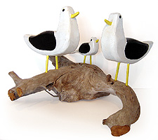 Jean Marc Poirier Seagulls