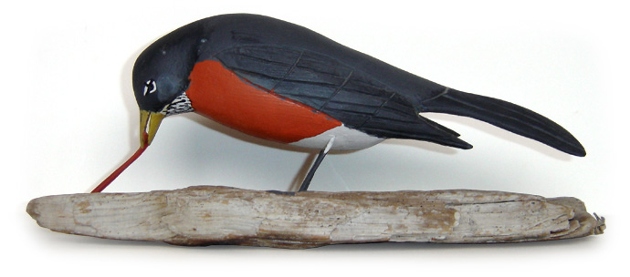 Robert Lavender Robin