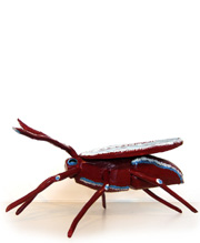 Ransford Naugler Bug