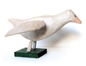 Tom Rector Bird