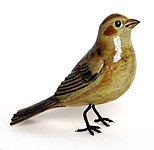 Yvon Cote Bird