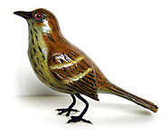 Yvon Cote Bird